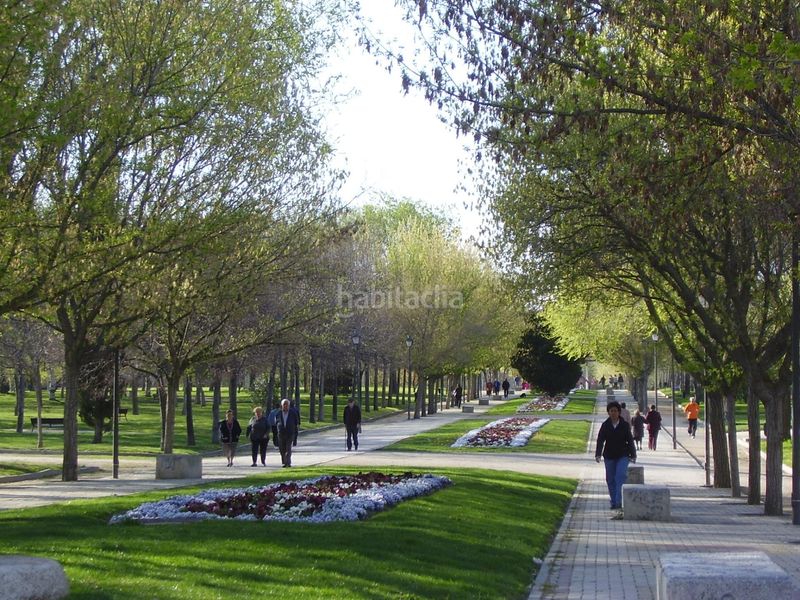Foto ba5a6220-14e5-4c49-b4b6-d81bc3765bf7. Pis a Pradolongo Madrid