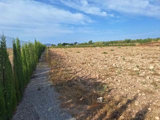 Finca rústica en Pinoso. Parcela edificable de terreno rústico con agua de riego y excele