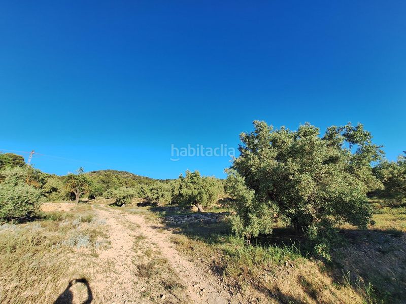 Foto 108989e4-74e0-4de8-9af1-a9eadb2783c9. Finca rústica a Biar