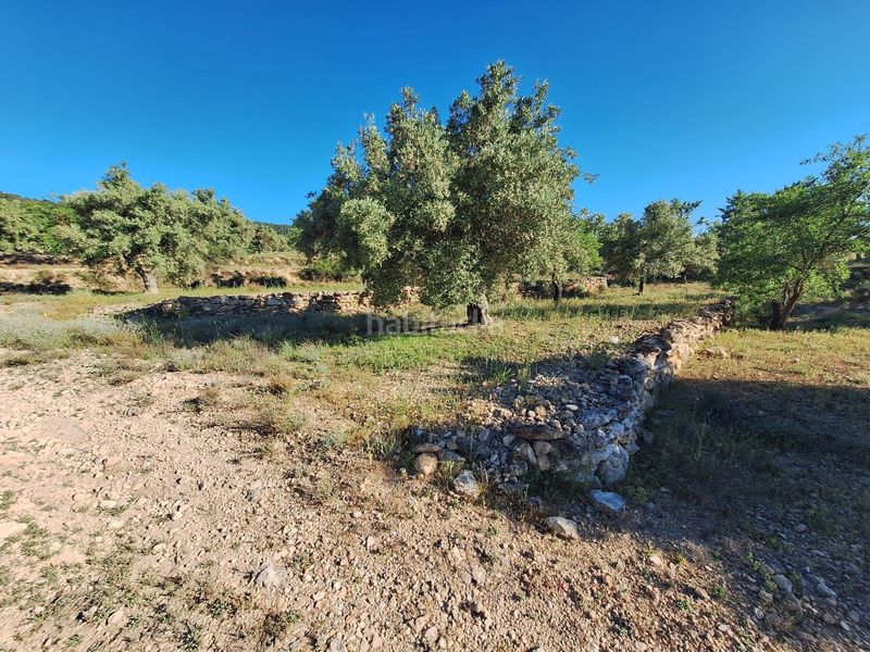 Foto 2d2bac42-a9d9-48cb-94c1-a2a787bee426. Finca rústica a Biar