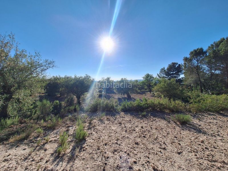 Foto 4fcda2b8-c113-477d-a535-6b0d6286f8b5. Finca rústica a Biar