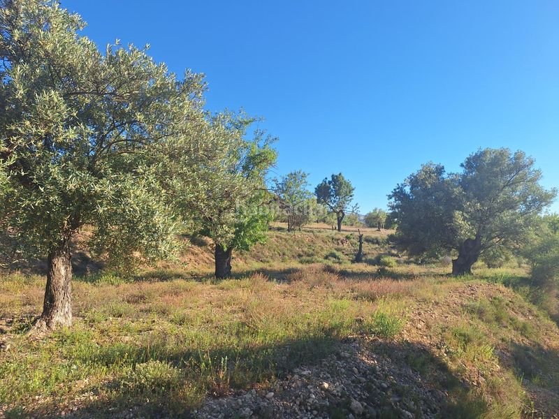 Foto c161e833-cd80-4fde-88be-a3b1054aba2f. Finca rústica a Biar