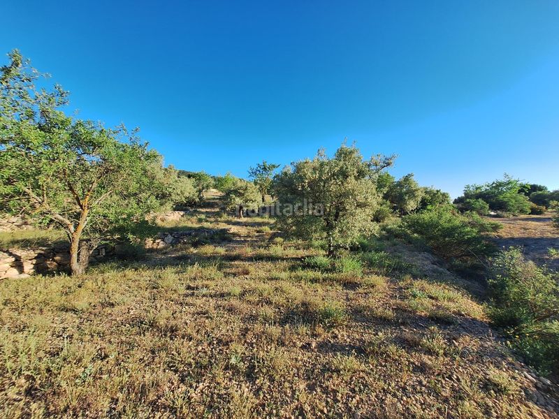 Foto d209d80b-312e-4f71-b9f5-10e4f67c500f. Finca rústica a Biar