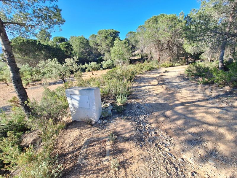 Foto fc59559a-5a6f-48f5-be81-42a797005fae. Finca rústica a Biar