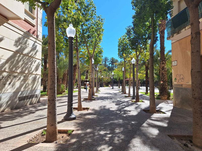 Foto 8ea831a9-0fb6-42f2-a4b7-3a550b5dc286. Flat in Centro Elche / Elx