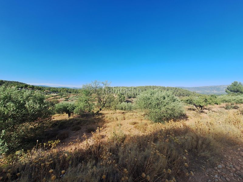 Foto 4f5d27b9-cf50-4018-8273-22880f2a8f2d. Finca rústica a Castalla