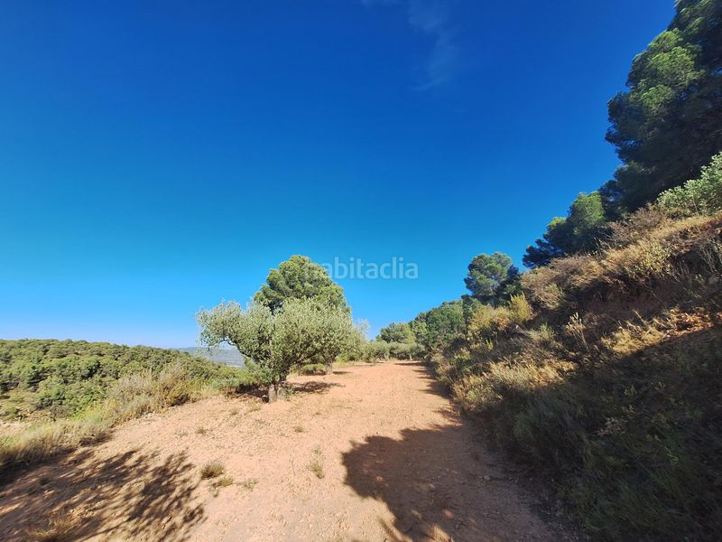 Foto 5b1d1665-a13d-4295-828b-22a5f3d0ab38. Finca rústica a Castalla