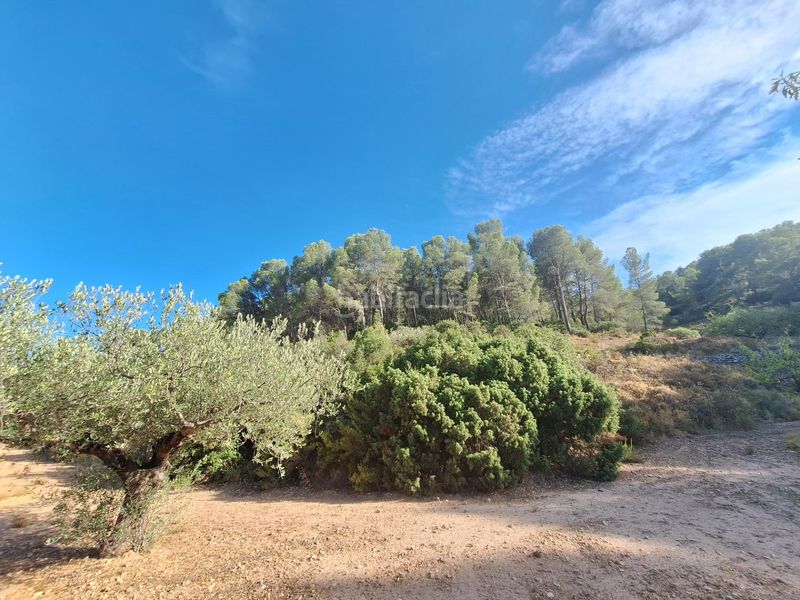 Foto 63c72af2-6d0d-4612-88c9-e46477e248a2. Finca rústica a Castalla