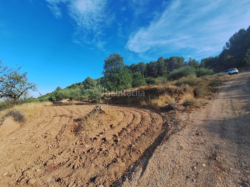 Foto a459d0dd-3b4e-4ebb-ab07-d7cb60257045. Finca rústica a Castalla