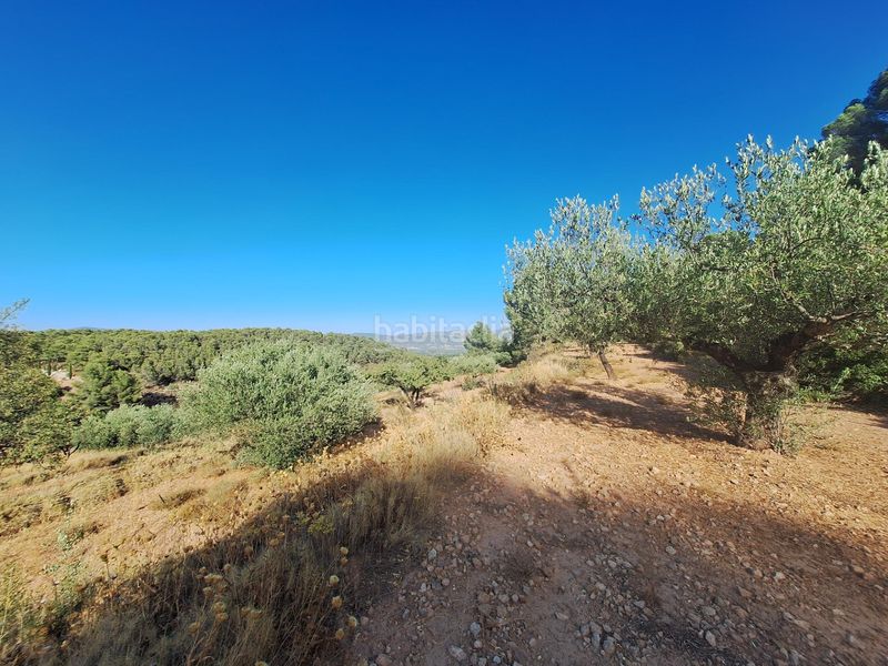 Foto d9c1af4b-26a4-4c35-af14-4cb71758697b. Finca rústica a Castalla