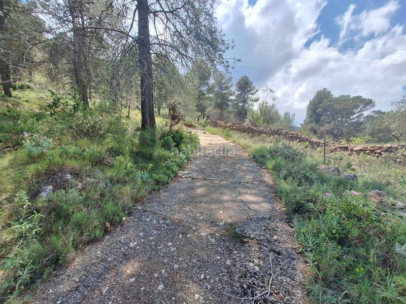 Foto 0655b5d1-1689-456c-83cd-6ecbe577606f. Masia a Centre-Zona Alta Alcoi
