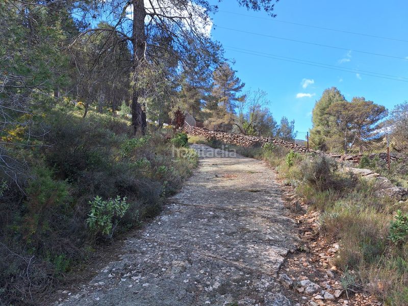 Foto 0dd4f2ff-9170-4701-85fc-244913de0e37. Masia a Centre-Zona Alta Alcoi