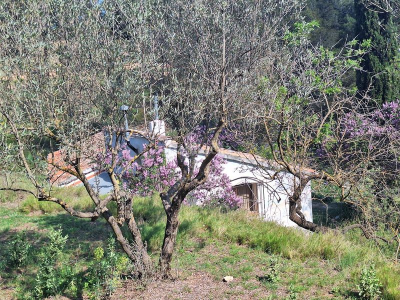 Foto 194e60c4-edd6-4339-a6c7-ab3e54b28974. Masia a Centre-Zona Alta Alcoi
