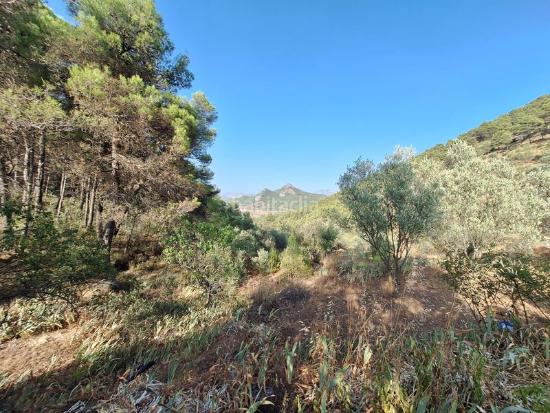 Foto 41216865-4dc7-4d26-a520-c6db8b3f349b. Masia a Centre-Zona Alta Alcoi
