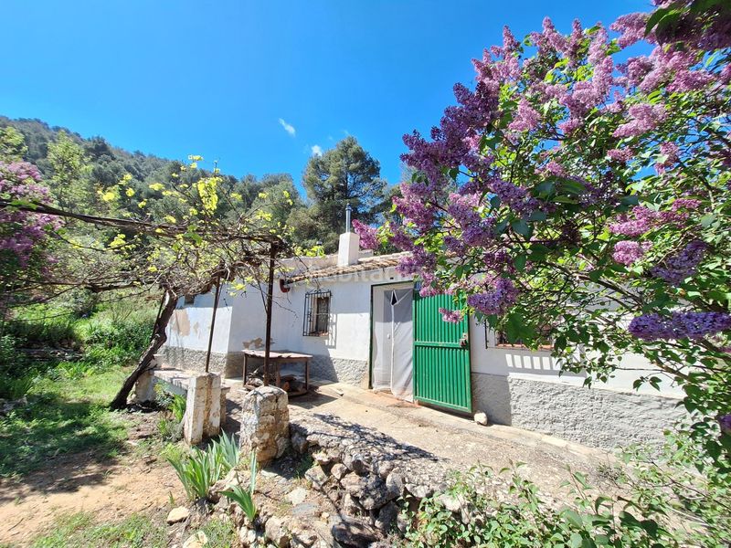 Foto 4bd95374-5d8c-4952-ba32-3cdbab8663a8. Masia a Centre-Zona Alta Alcoi