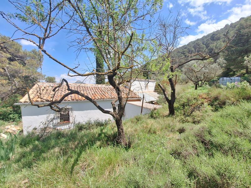 Foto 5cffd396-99cf-44e5-83a3-a41479188f81. Masia a Centre-Zona Alta Alcoi