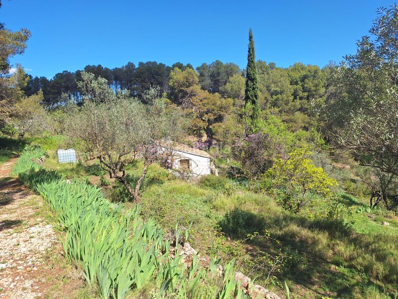 Foto 918bff58-db57-47fb-b0fb-6b83e9477b2d. Masia a Centre-Zona Alta Alcoi