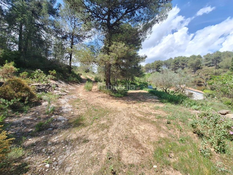 Foto 9868ee6e-0809-4096-b919-00c1b8597bb9. Masia a Centre-Zona Alta Alcoi