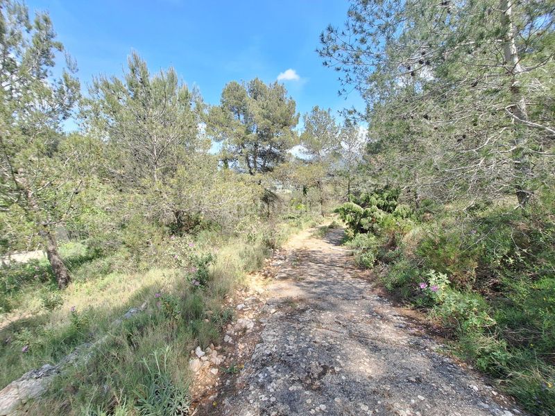 Foto ace3e634-5206-4acf-927c-ffd752547428. Masia a Centre-Zona Alta Alcoi