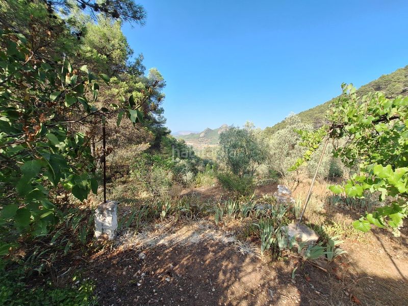 Foto b9ad69d6-4968-414e-a690-c31f31236782. Masia a Centre-Zona Alta Alcoi