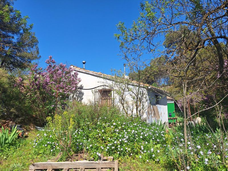 Foto bf2ac7f9-84c5-413c-8b0d-e34ec459eb42. Masia a Centre-Zona Alta Alcoi