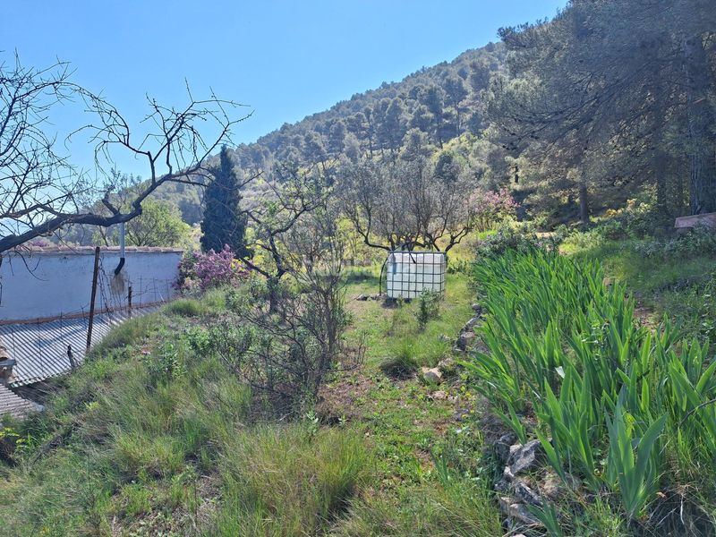 Foto d6ee35f8-a447-4ed7-b51a-62a3eaf8f36b. Masia a Centre-Zona Alta Alcoi