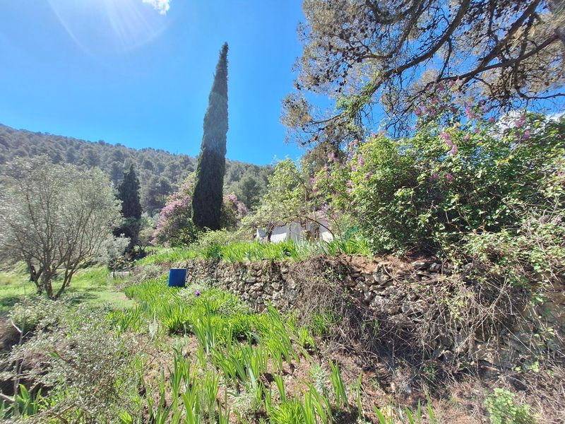 Foto d8ccc123-c500-4722-ac20-ed9ea7532f99. Masia a Centre-Zona Alta Alcoi