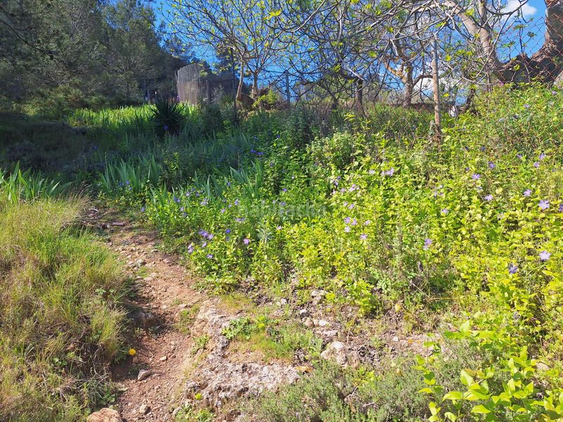 Foto ed50b1ef-61e7-40ba-a9fd-4758c9ac1b1f. Masia a Centre-Zona Alta Alcoi