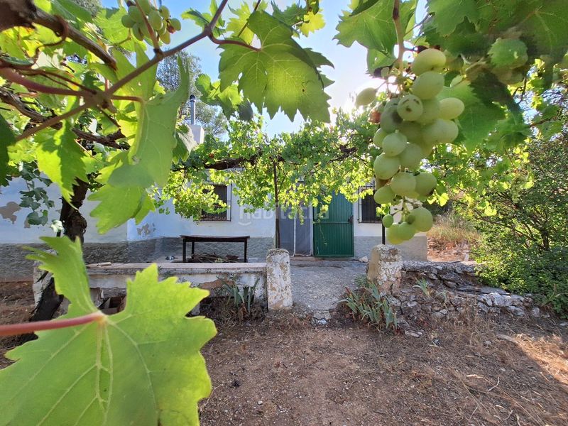 Foto fa25561c-d99b-4667-ba02-3f24ab7f69e3. Masia a Centre-Zona Alta Alcoi