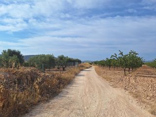 Finca rústica a Pinoso