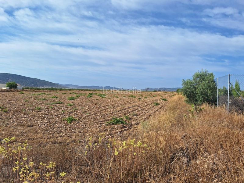 Foto 144609e3-4cf6-4e75-bedb-a02095442c31. Finca rústica a Pinoso