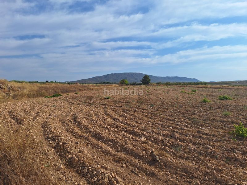 Foto 3fbbe414-5a18-4440-8fd5-a023f05685c7. Finca rústica a Pinoso