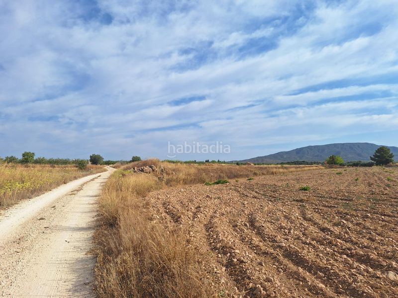 Foto 481ae52f-d87d-4182-ba31-e334b0f65ab6. Finca rústica a Pinoso