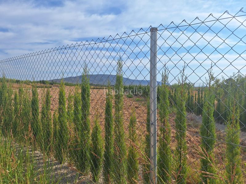 Foto 53ac17da-7745-489b-b504-57dfae0f3726. Finca rústica a Pinoso