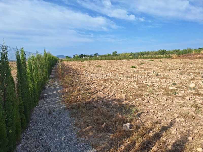 Foto a3f8df34-696f-4750-9993-5b4d754d2c08. Finca rústica a Pinoso