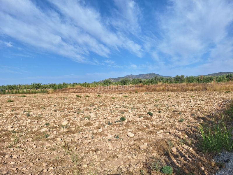 Foto bd2f4778-019a-4006-90ee-d00e01a33e74. Finca rústica a Pinoso