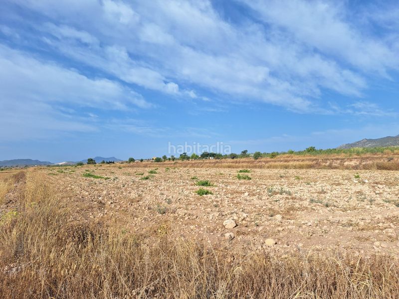 Foto cc243515-2386-49e1-9a64-0c65e65049a6. Finca rústica a Pinoso