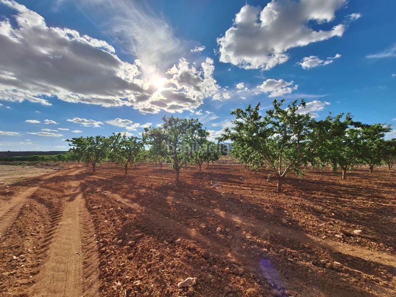 Foto 0fef25f6-e0cf-4912-8b56-a508917a69d0. Finca rústica a Pinoso