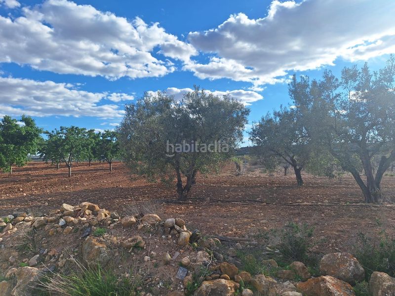 Foto f56f9437-49fc-4094-a60d-cfea139346c4. Finca rústica a Pinoso