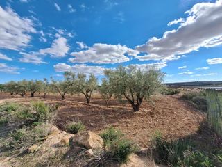 Landgut in Pinoso. Un entorno único para hacer realidad tus proyectos