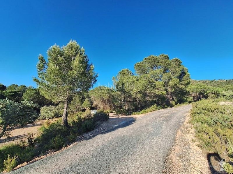 Foto ab6e65f1-6247-439b-8dd8-9bd8e965883b. Finca rústica a Biar