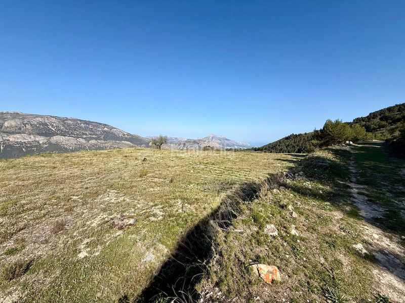 Foto 0e47cc73-bad9-4ff4-a83b-022aeb8f0bc4. Terreny residencial a Benimantell