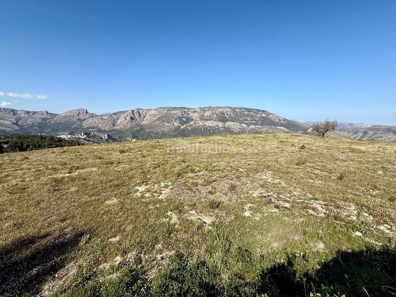 Foto c5c53806-b0f0-4703-9f49-5fab765c92a3. Terreny residencial a Benimantell