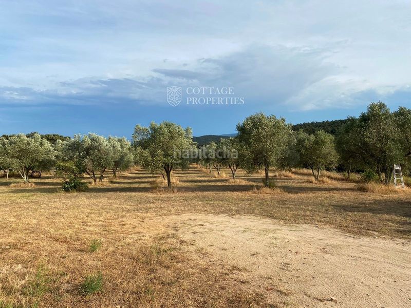 Foto ad51799a-50f5-40b4-82c6-54ffa8a292ed. Masia a la jonquer a Agullana