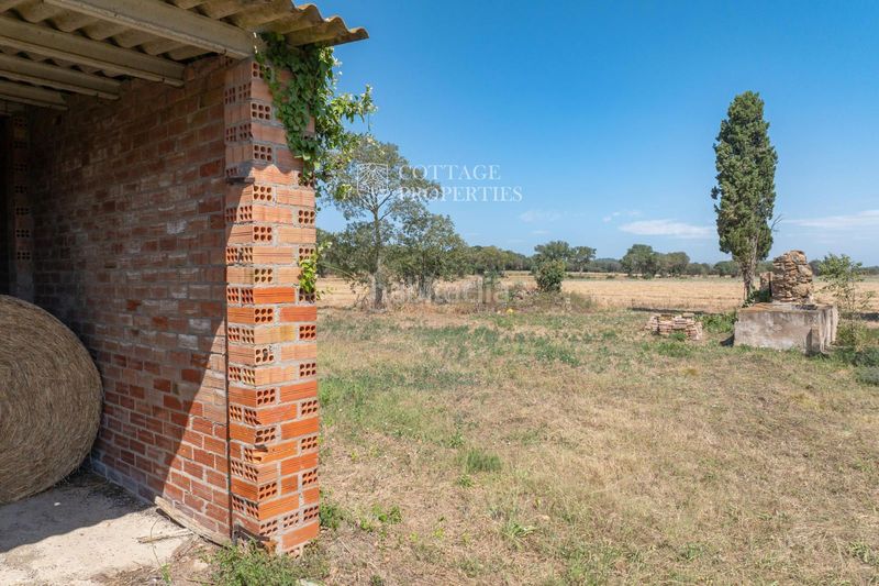 Foto f17a6516-166d-4cf1-9885-8ea08b8236c6. Masia a Corçà