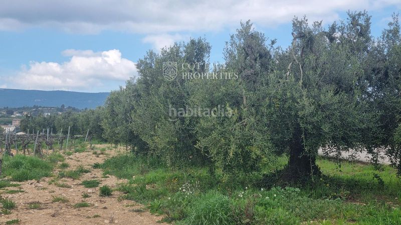 Foto ffa5336a-6620-4677-934b-0454ccaf31d7. Masia amb calefacció aparcament a Font-rubí