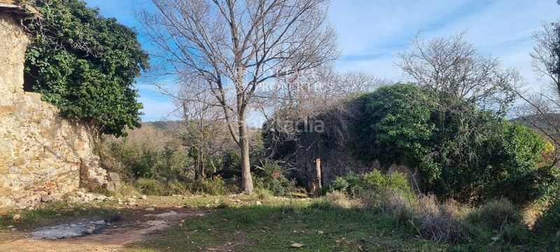 Foto c4bfe40e-40f4-4e11-a7da-315cc3579954. Masia a llado a Cabanelles