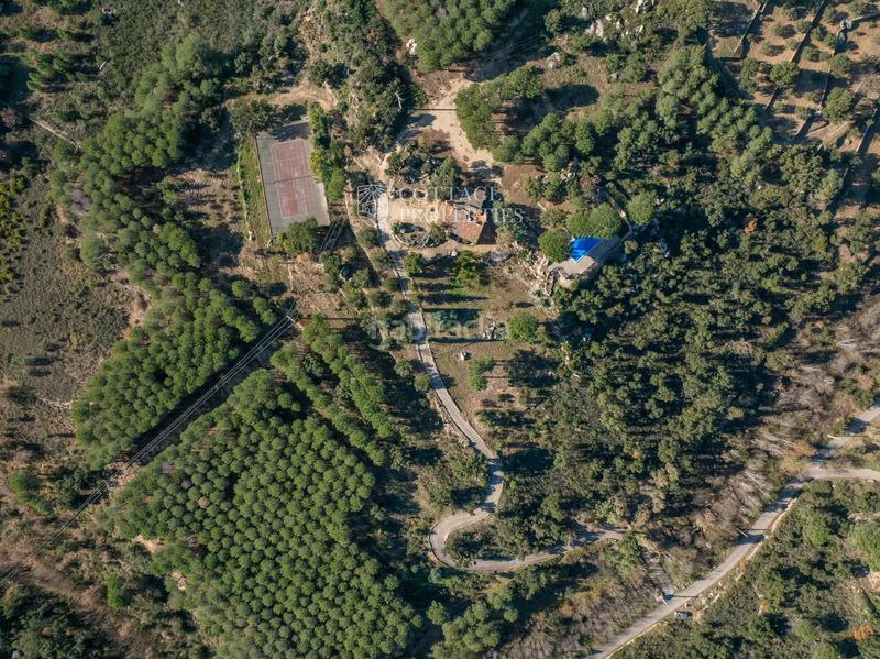 Foto d5a33975-41c7-43c8-90ab-b6ff53b69263. Masia a Capmany