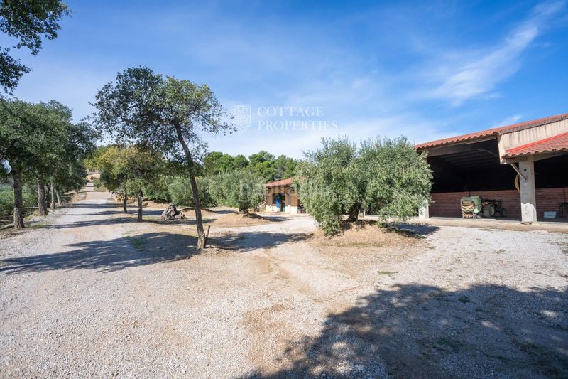 Foto cdd0db7f-1411-447d-bd5a-52933b540df8. Masia amb calefacció aparcament a Cistella