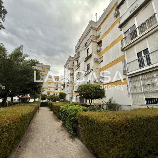 Foto df9a79f3-1dd5-45c1-b786-7fca7f3f91fd. Pis a Cruz Roja Sevilla